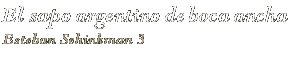 El sapo argentino de boca ancha / Esteban Sehinkman 3